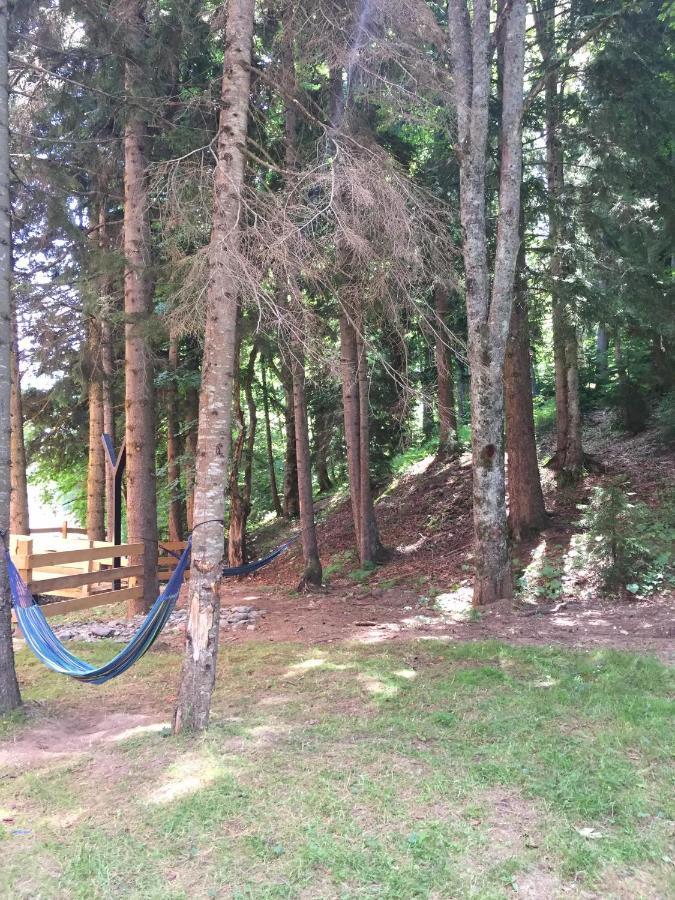 Bakuriani Apartment With Forest Around Εξωτερικό φωτογραφία