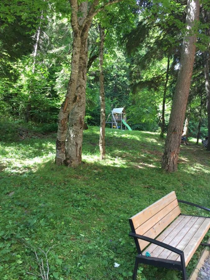 Bakuriani Apartment With Forest Around Εξωτερικό φωτογραφία